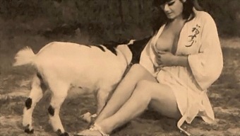 Classic Taboo: Pussy And Dog Play In A Retro Setting